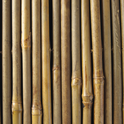 How To Cut Bamboo Poles In Half Hunker How To Cut Bamboo Poles In Half