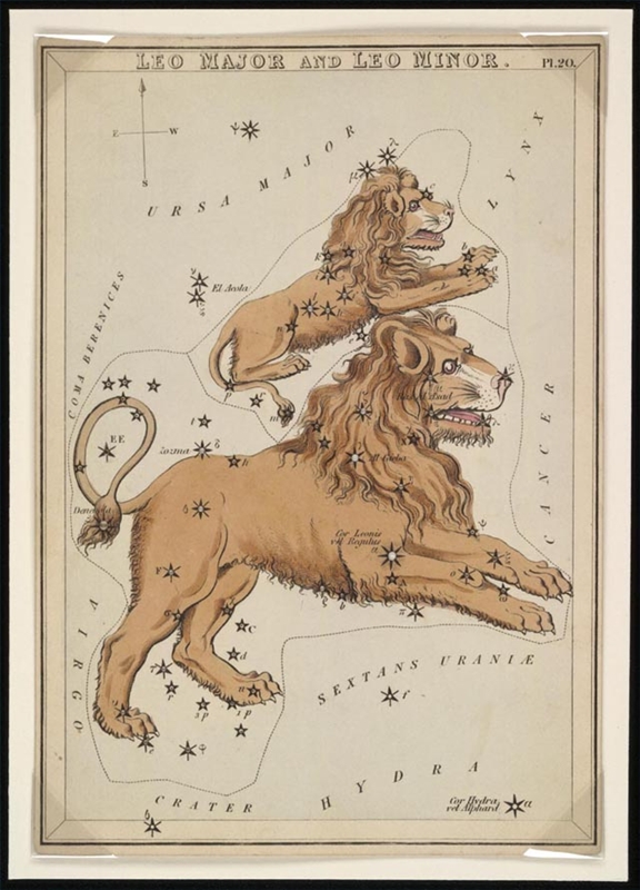 How to Get Along With a Leo Synonym