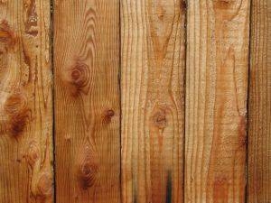 Eucalyptus Vs Bamboo Flooring Comparison