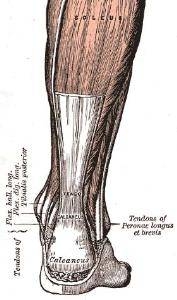 Can You Heal Bone Spurs Naturally Can You Heal Bone Spurs Naturally