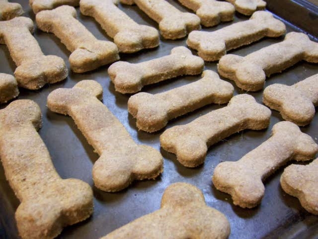 How To Make Dog Treats In A Food Dehydrator How To Make Dog Treats In A Food Dehydrator