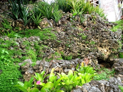 How to Landscape a Backyard With a Slope on a Very Small ...