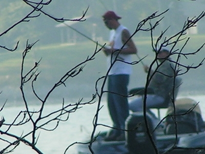 homemade bass attractant