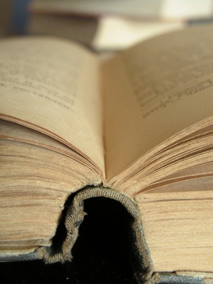 Essays to read