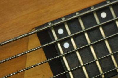 buzz string bass guitar stop ehow