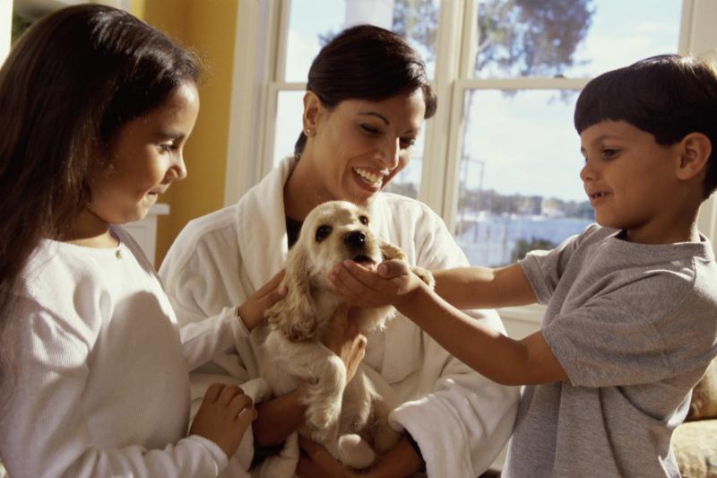 how much to feed a 4 month puppy how to feed care for a 3 month puppy ehow how much to feed a 4 month puppy how to feed care for a 3 month puppy ehow