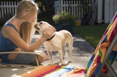what age to start a puppy at what age can a puppy start puppy food ehow what age to start a puppy at what age can a puppy start puppy food ehow