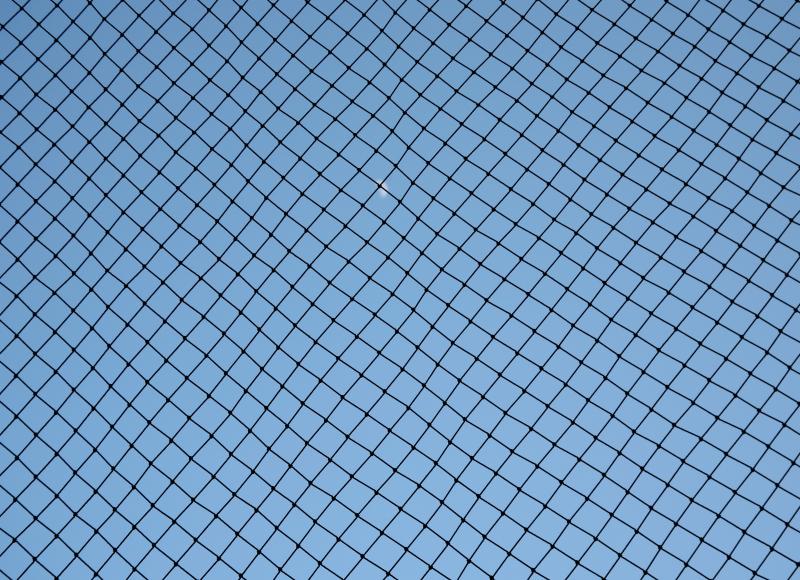 How to Build a Pitching Screen | Healthfully