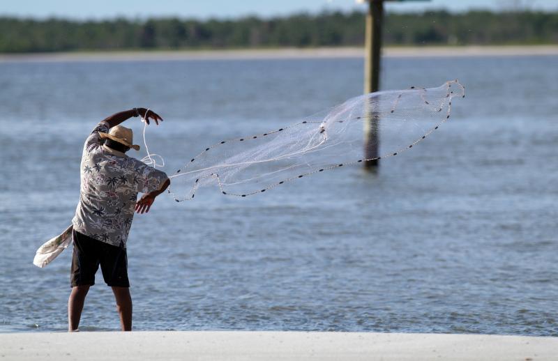 How to Catch Shrimp on the Florida Gulf Coast Gone Outdoors Your Adventure Awaits