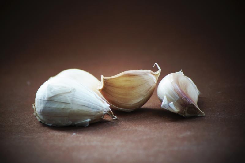 How to Soak Garlic Before Planting Garden Guides