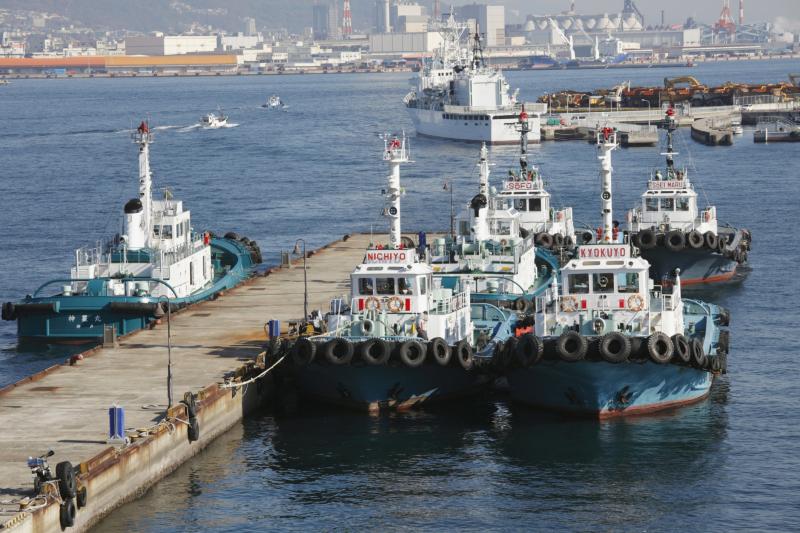 The Difference Between Docks and Piers Gone Outdoors Your Adventure