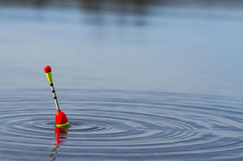 How to Make a Cane Bamboo Fishing Pole Gone Outdoors Your Adventure