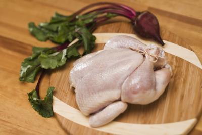 Raw meat, a common source, bacterial gastroenteritis