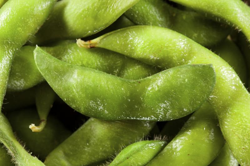 A close-up of steamed edamame.
