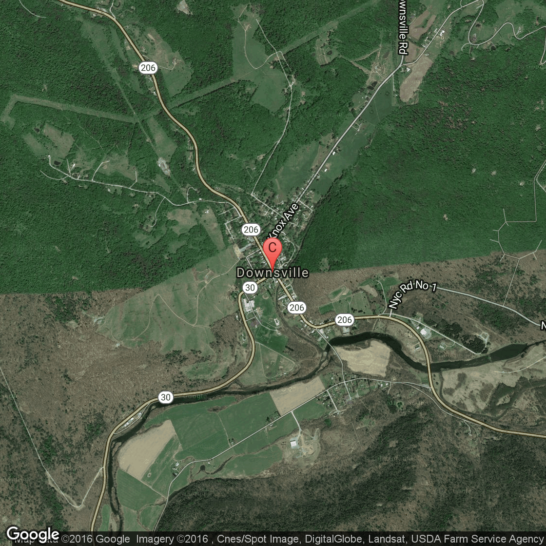 Cabins Near Downsville New York