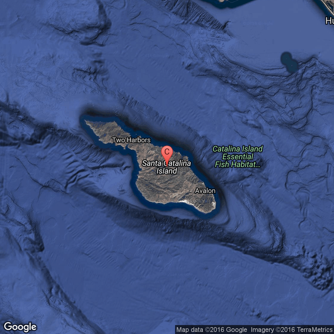 The Best Snorkeling in California USA Today