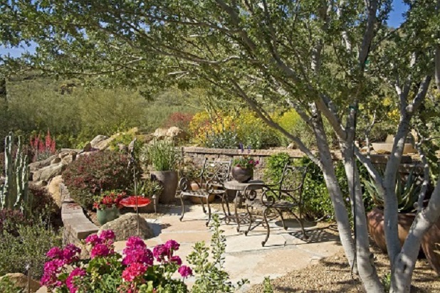 8 Best Water-Wise Yards | eHow