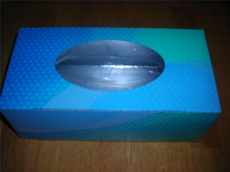 How to Reuse Empty Tissue Boxes HomeSteady