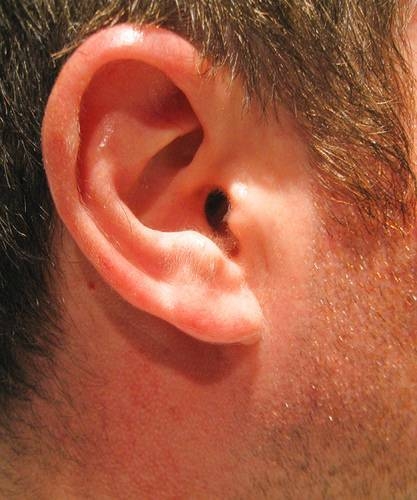 How To Pluck Ear Hairs