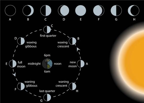 Understanding the phases of the Moon