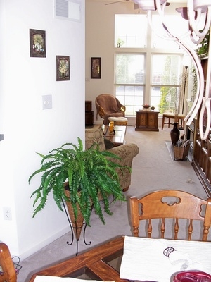 Transitioning Paint From One Room To Another Transitioning Paint From One Room To Another